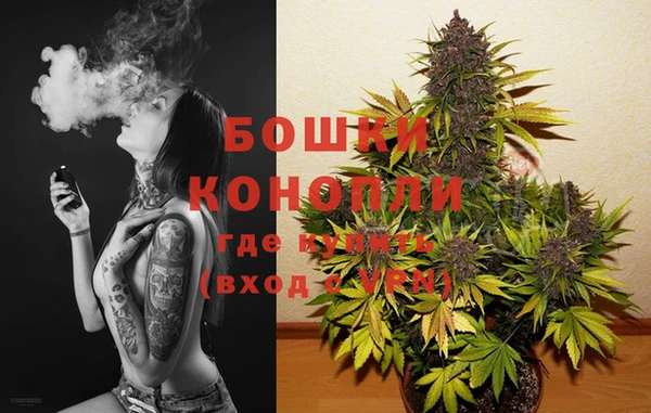 спайс Пересвет