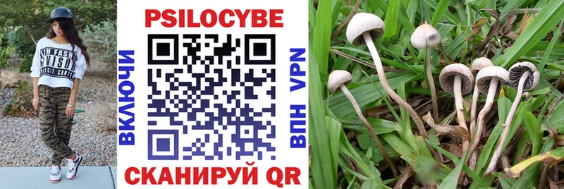 Галлюциногенные грибы Psilocybine cubensis  купить закладку  Артёмовск 